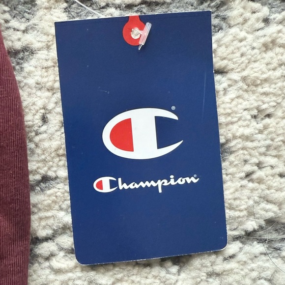 NWT-Champion Minnesota Golden Gophers Embroidered Maroon Men's XL T-Shirt - Picture 6 of 12